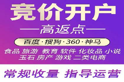 SEO技术突破：某网站流量暴增的背后故事